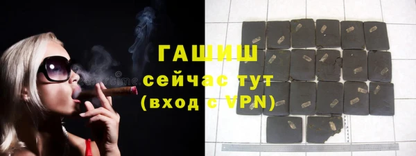 гашик Мегион