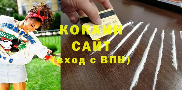 гашик Мегион