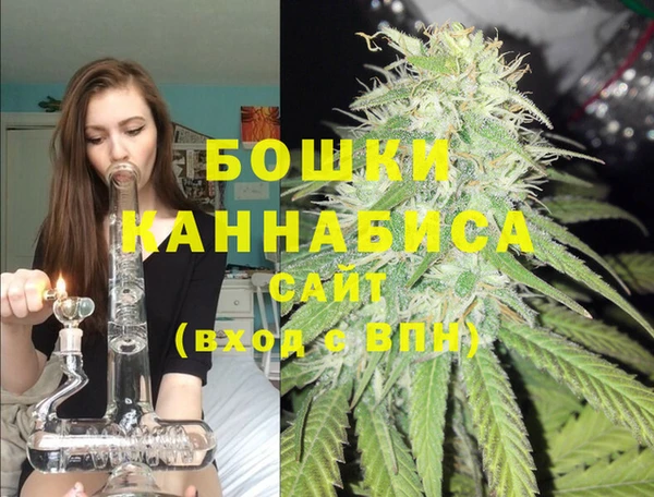 гашик Мегион